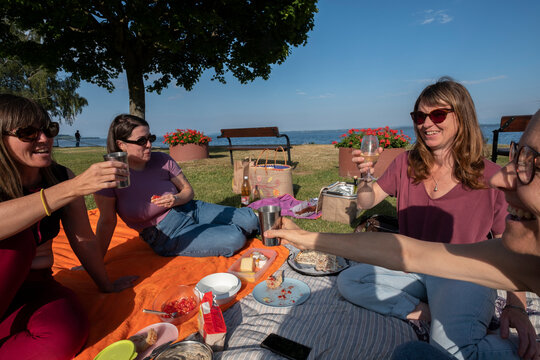 Friends Having Picnic