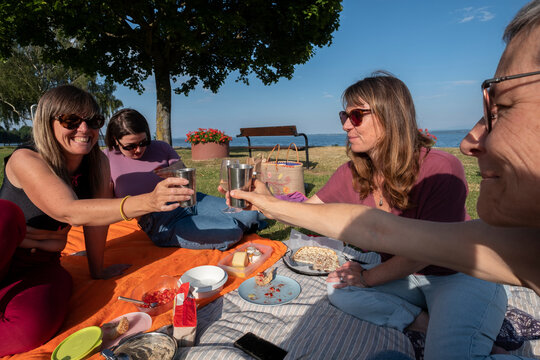 Friends Having Picnic