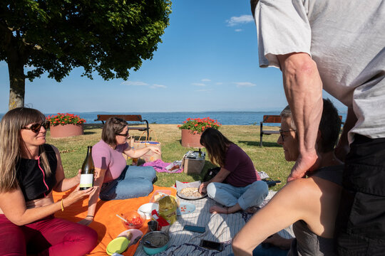 Friends Having Picnic