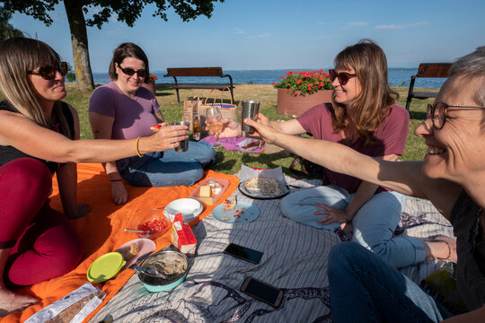 Friends Having Picnic