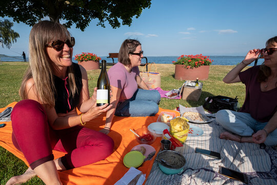 Friends Having Picnic