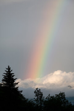 Amaizing Rainbow