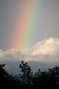 Amaizing Rainbow