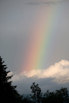 Amaizing Rainbow