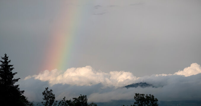 Amaizing Rainbow