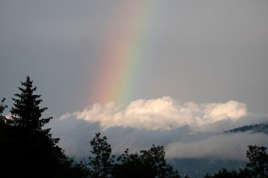 Amaizing Rainbow