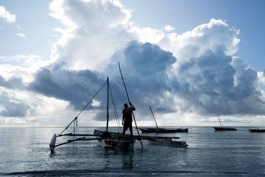 Traditional dhows in the early morning light on the Zanzibar coast.