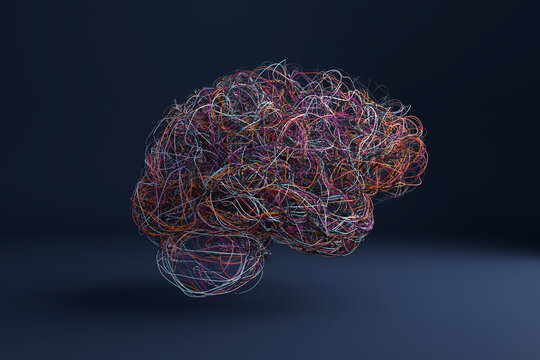 Wired Brain