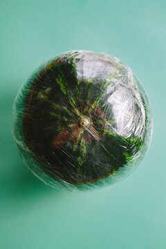 A watermelon covered by plastic