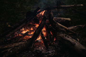 Bonfire in forest