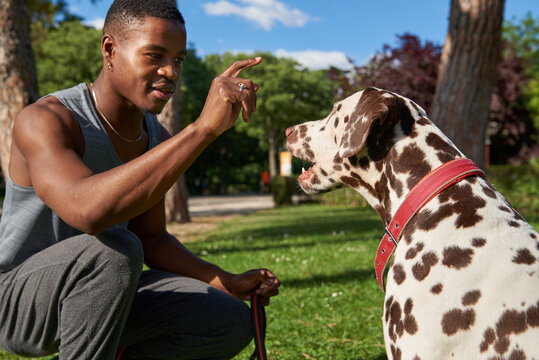 Close up of a men playing with food for his dog - Powered by Adobe