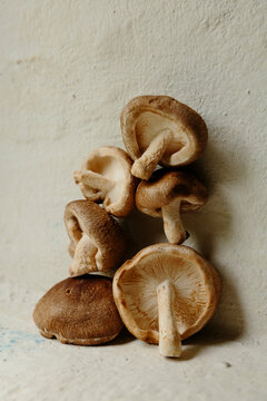 Shitake mushrooms