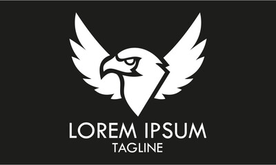 Black and White Color Monogram Abstract Spread Wing Eagle Head Bird Logo Design