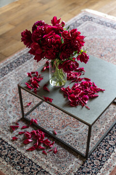 Fading bouquet of bright red peonies on the table in the apartme