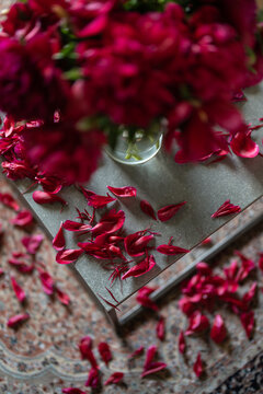Close-up of a fading bouquet of bright red peonies.