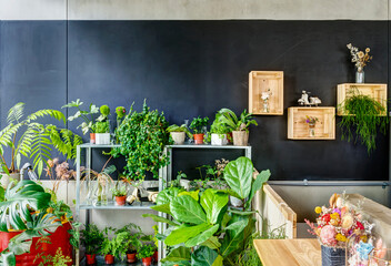 Plants decoration of a coffe shop