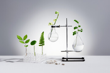 Herbal cosmetic products, laboratory glassware and ingredients