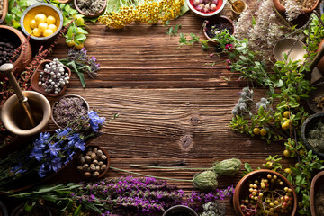 Natural medicine background. Assorted dry herbs in bowls and plants on rustic wooden table.