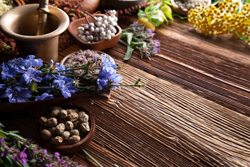 Obraz na płótnie Canvas Natural medicine background. Assorted dry herbs in bowls and plants on rustic wooden table.