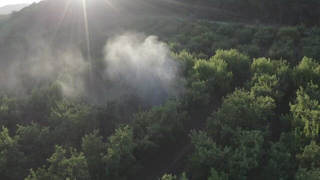 Tractor spraying pesticide drone aerial view, pesticides or insecticide spray on . Pesticides and insecticides on agricultural field in T&uuml;rkiye