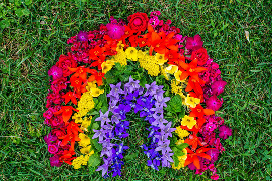 Pride Rainbow with Flowers