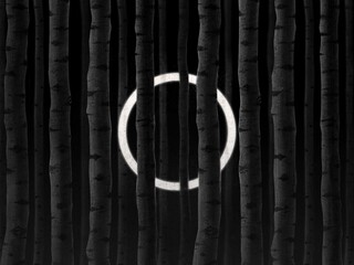 glowing circle in the birch forest illustration
