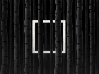 glowing square among the trees