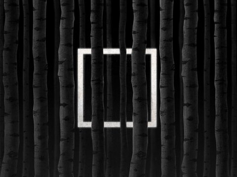 glowing square among the trees