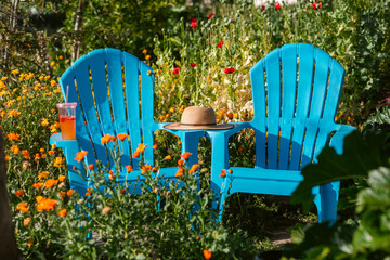 Blue chairs at blooming garden