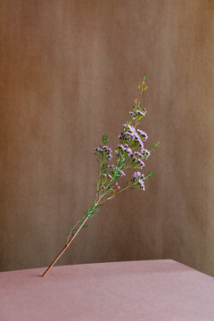Floating flowers with copy space background