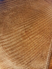 Fototapeta premium Freshly cut tree with annual rings. Close-up of round logs. The texture of a fresh sawn wood