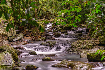 Nature views in Springbrook National Park during autumn season. 