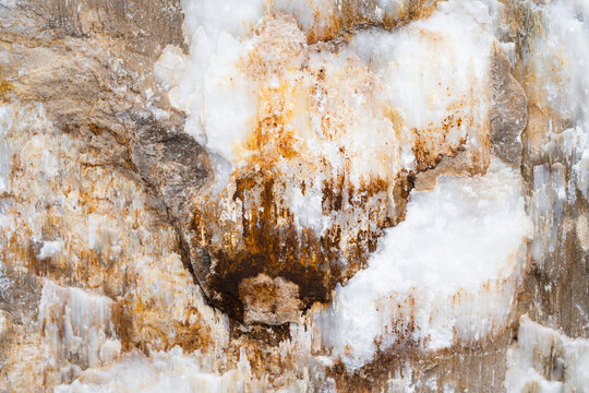 Oceanic Abstract Stone Texture