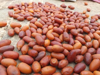 Phoenix dactylifera fruit. Its other names  date or date palm, It is a flowering plant species in the palm family, Arecaceae. cultivated for its edible sweet fruit called dates.
