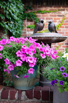 Group of Colorfully Planted Containers on A Back Porch