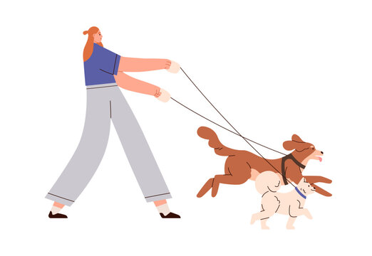 Person walking with dogs. Young woman walker leading doggies on leash. Girl, pet sitter strolling with canine animals, puppies. Flat graphic vector illustration isolated on white background