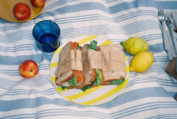 Picnic fruit and cheese in summer