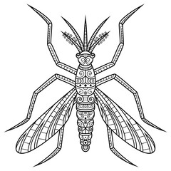 Hand drawn of mosquito in zentangle style