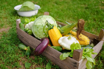 Farm multicolored vegetables in a wooden box on the grass.