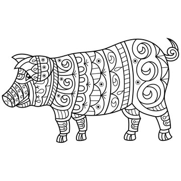 Hand drawn of pig in zentangle style