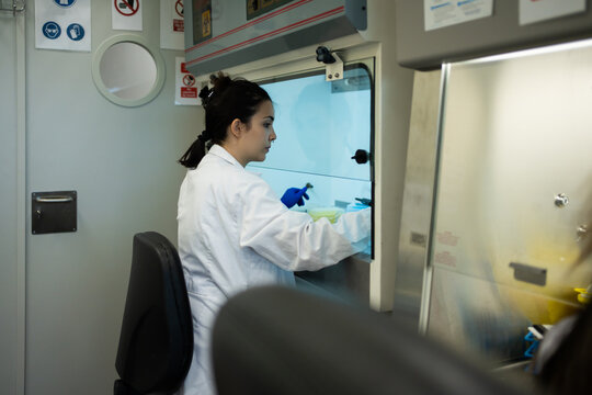 Young Scientist Woman With White Coat Working In The Laboratory.