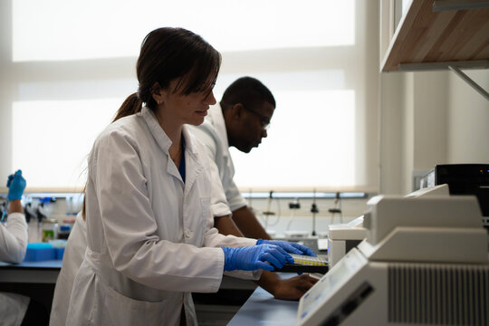 Multiracial Scientists Working Together In The Laboratory.