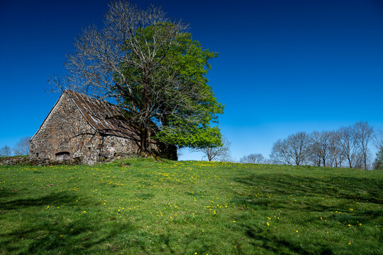 Petite maison de berger appel&eacute; BURON en auvergne