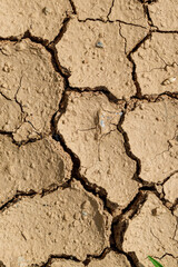 Dry and cracked ground in the sun