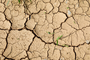 Dry and cracked ground in the sun