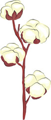 cotton vector image, plant on a white background, industrial cultivation of cotton, flower branch, white cotton ball, isolated design, withered flower