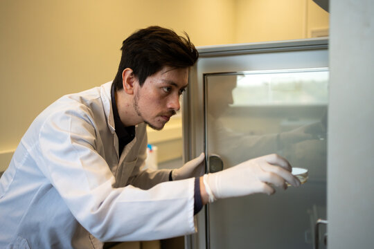 Scientist Opening A Lab Fridge.