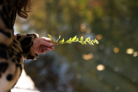 Woman holding fern leaf over pond
