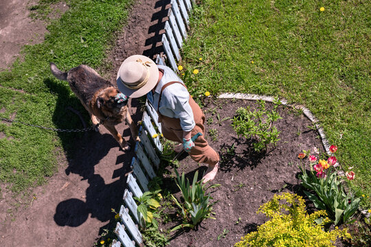 gardener petting a dog