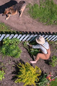 gardening